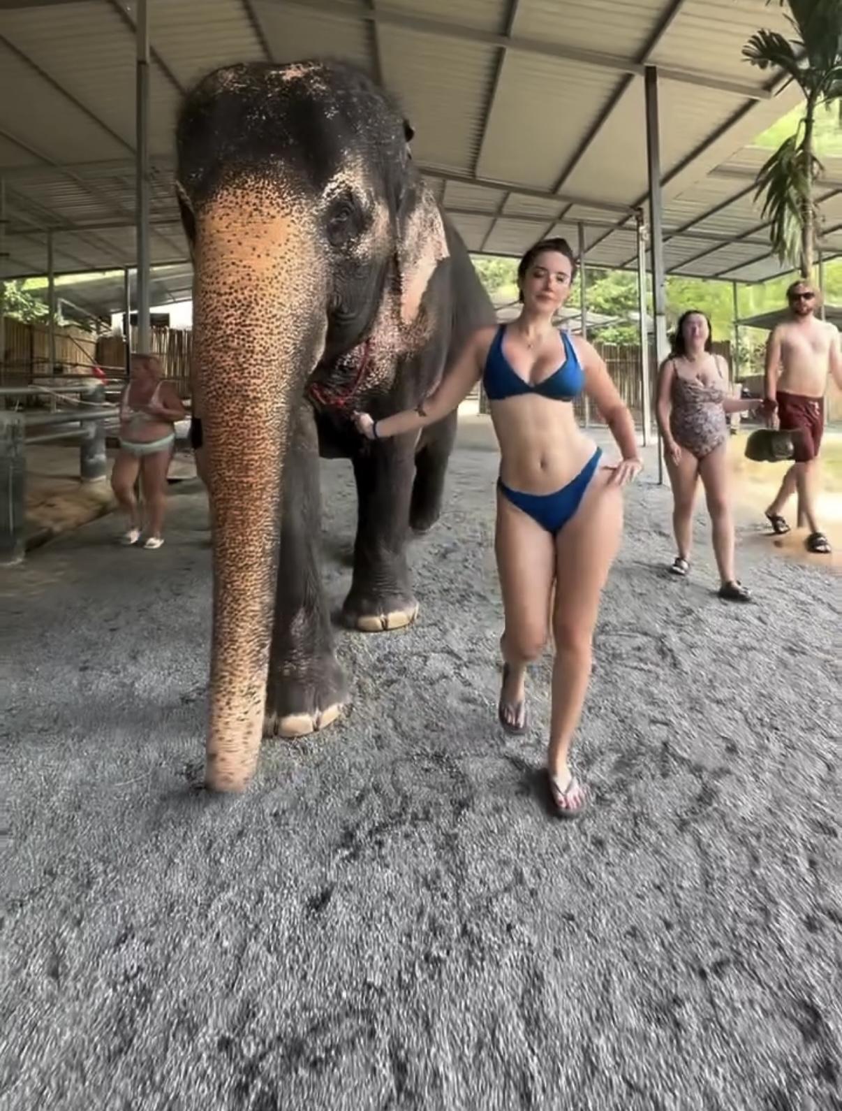 Hotblockchain exclusive leaked nude post on ReelHub